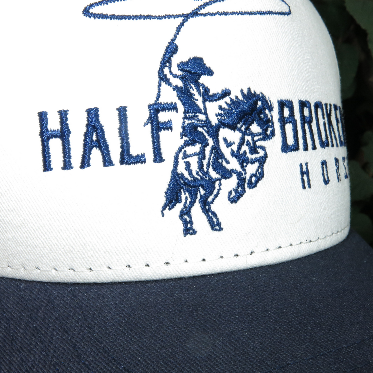 Classic Snapback // Navy & Cream